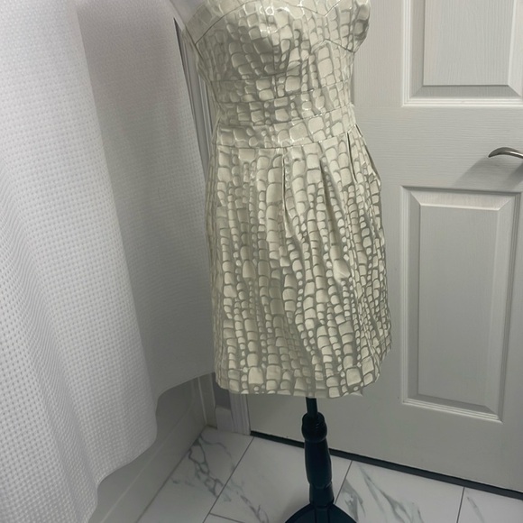 American Eagle Outfitters Cream /Silver Strapless A-line Dress - Picture 5 of 9